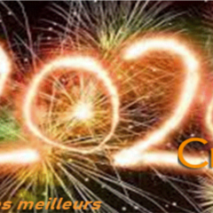 Bonne Année 2020