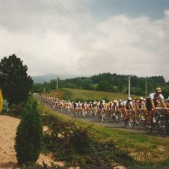 Photos – Christian Derangère et le comité de bourgogne